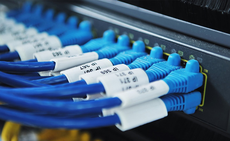 Cáp mạng và dữ liệu